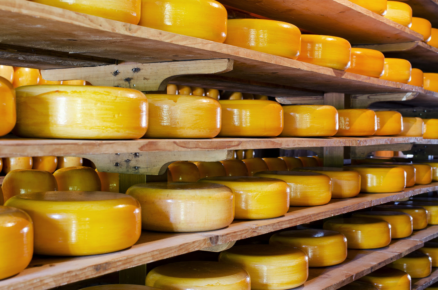 Shelves full of cheese